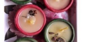 Hand Painted Earthen Ghee Mix Herb Diyas