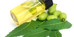 Neem Oil