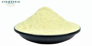 Natural Guar Gum Powder