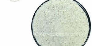 Pharmaceutical Guar Gum Powder