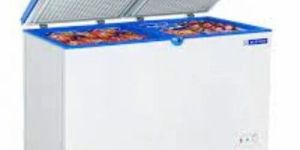 Blue Star Deep Freezer