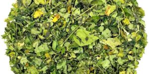 Natural Moringa Dried Leaves