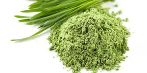 Wheat Grass Powder