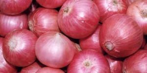 Organic Red Onion