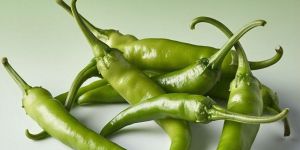 Fresh Green Chillies