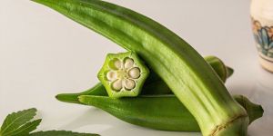 Fresh Okra