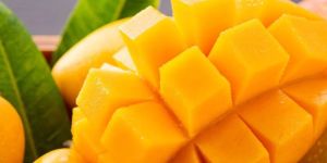 Devgad Classy Alphonso Mango: 1 Dozen