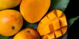 Ratnagiri Prince Alphonso Mango: 1 Dozen