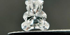 Teddy Bear Shapes Unique Fancy Diamond