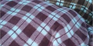 Printed Polar Fleece Fabric