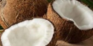 Fresh Coconut