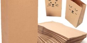 Brown Snacks Paper Bag