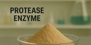 Protease Enzyme Powder
