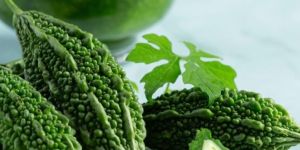 Dehydrated Bitter Gourd