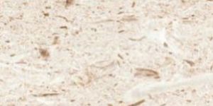 Myra Beige Marble Slabs