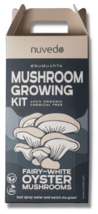 Fairy White Mushroom Growing Kit