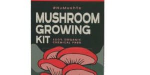Pink Oyster Mushroom Growing Kit