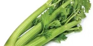 Fresh Celery