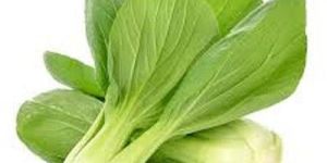 Fresh Pak Choi