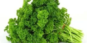 Fresh Parsley