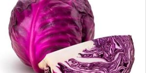 Fresh Red Cabbage