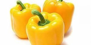 Fresh Yellow Capsicum