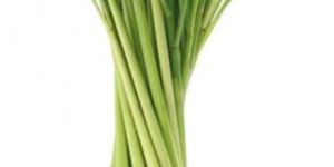 Lemongrass Herb
