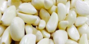 Peeled Garlic