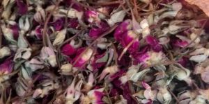 Dried Rose Buds
