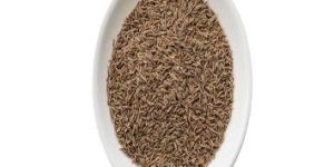 Cumin