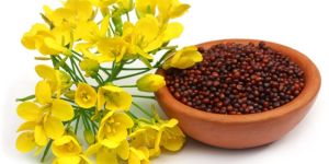 Mustard Seeds