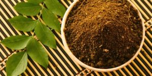 Karivepaku Karam Masala