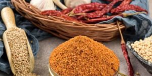 Nuvvula Karam Masala