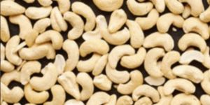 Salted Cashew Nuts