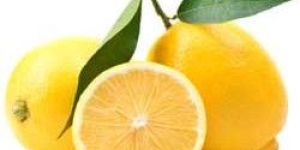 Fresh Lemon