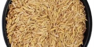 Rice Husk