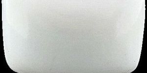 White Coral Gemstone