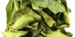 Dehydrated Curry Leaves
