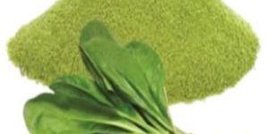Spinach Powder
