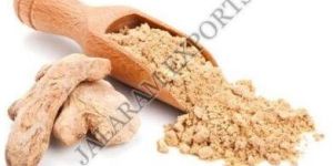 Spray Dried Ginger Powder