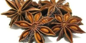 Star Anise Seeds