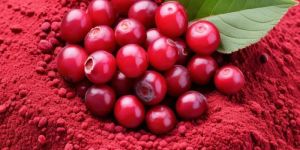 Cranberry Extract