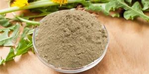 Dandelion Extract