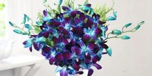 Glorious Blue Orchids Bouquet