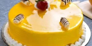 Shinny Mango Cake