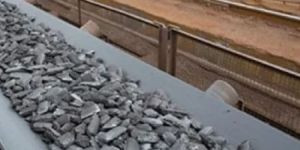 Guardian Conveyor Belts