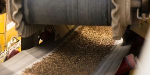 OilGuard Conveyor Belts