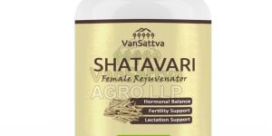 Shatavari Capsules