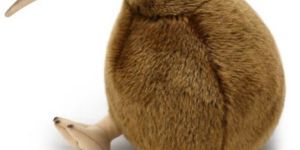 Plush Toy - Kiwi
