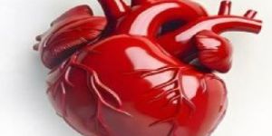 Best Cardiologist Hospital in Lucknow,